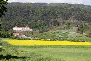 Grad Hompoš 2